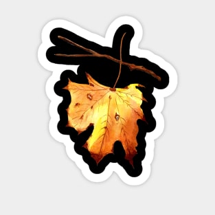 Autumn Maple Leaf Watercolor Painting Sticker